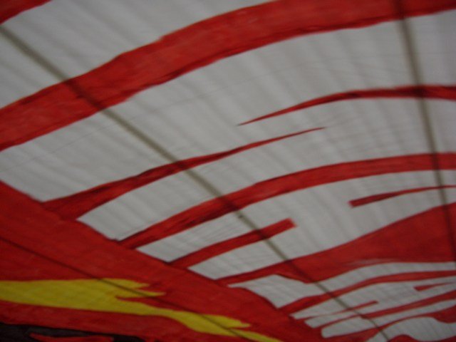 mini-Bild (6)